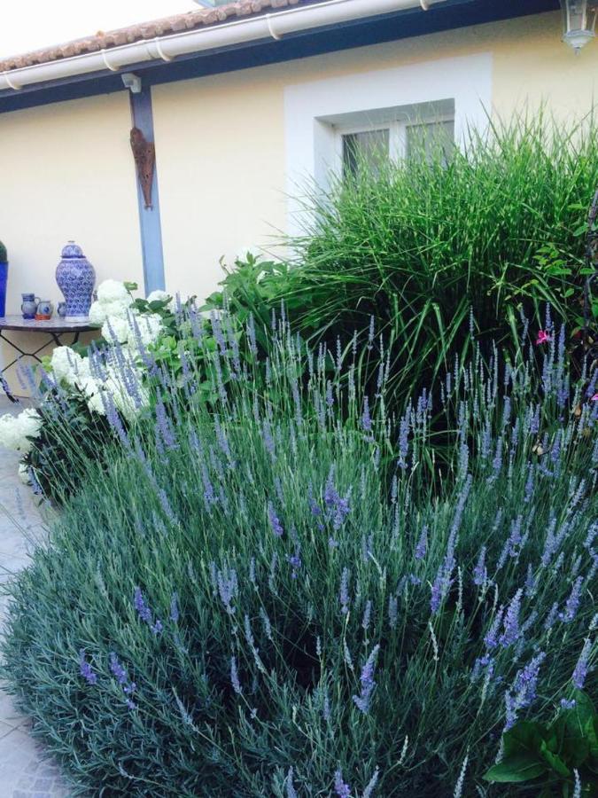 La Maison De Lilly Arcachon Exteriér fotografie